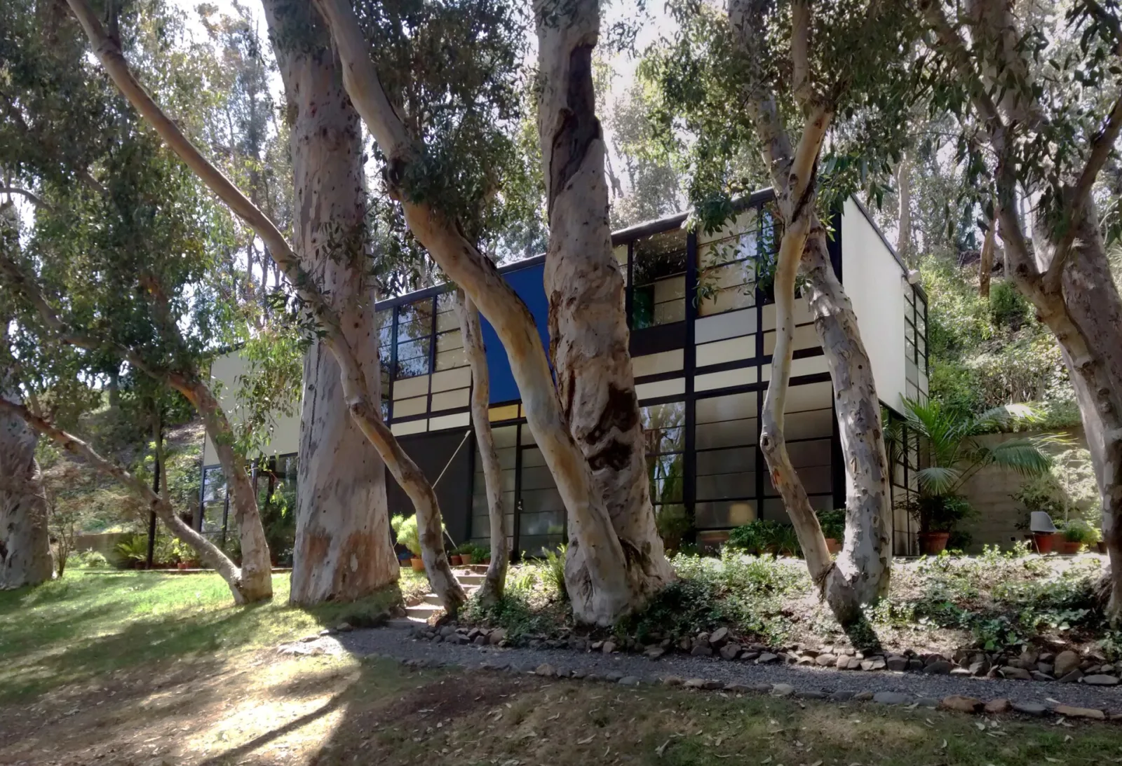 The Eames House among eucalyptus trees: a two-storey steel grid infilled with glass and primary-color panels