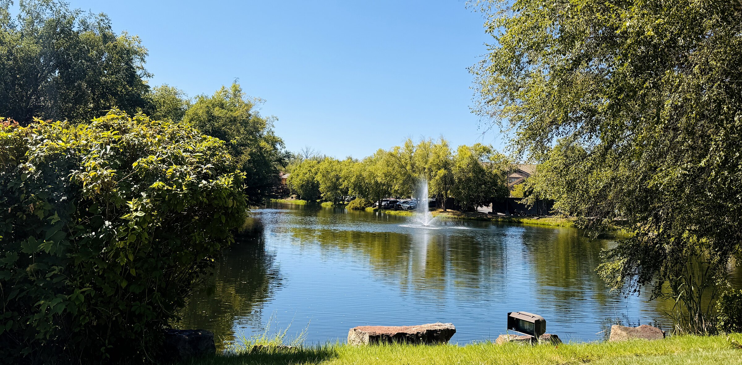 A pond with homes and mature conifers along the far bank in Eagle