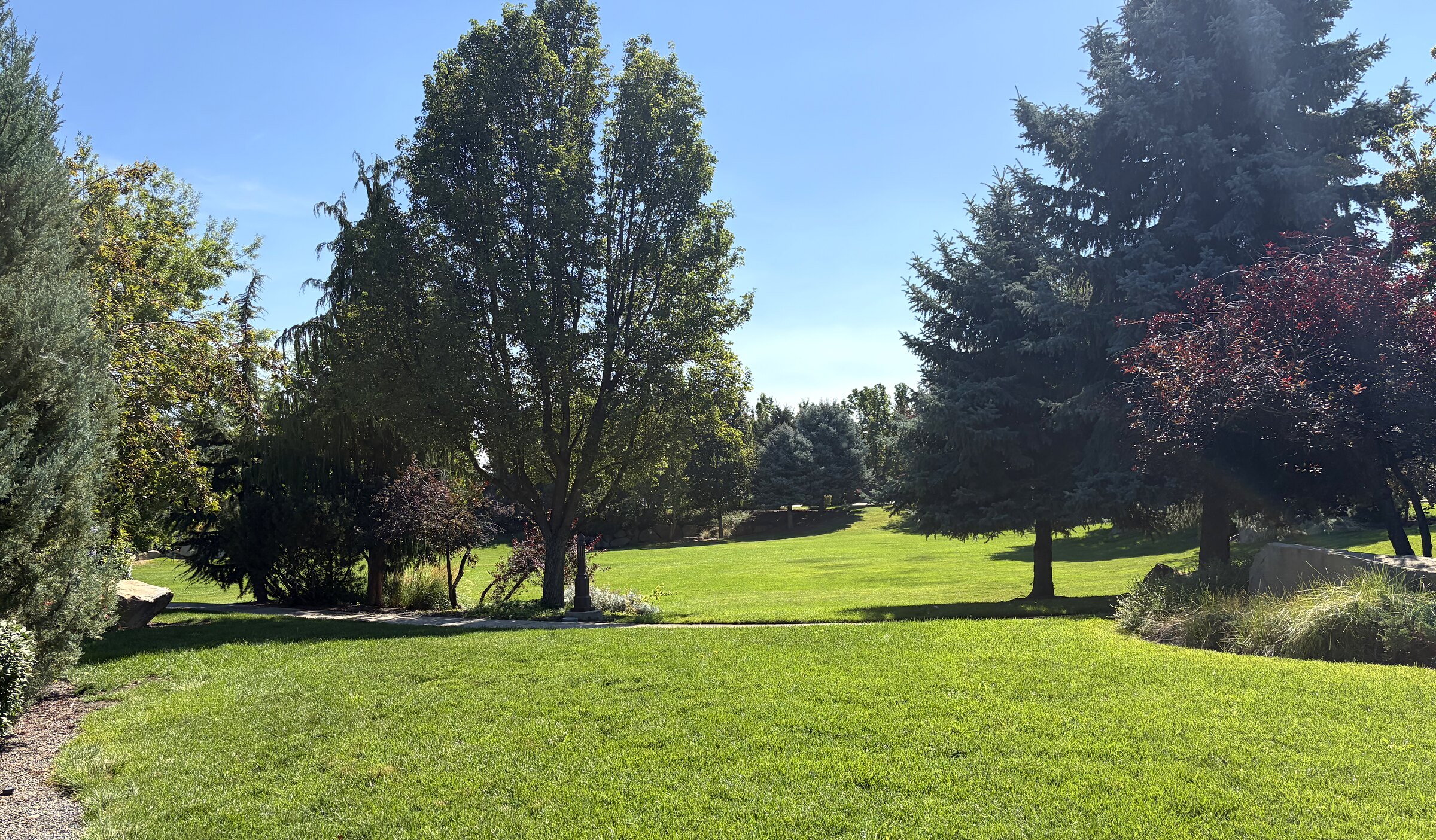 A shaded lawn and planting beds in a Southwest Boise park, with homes beyond the trees