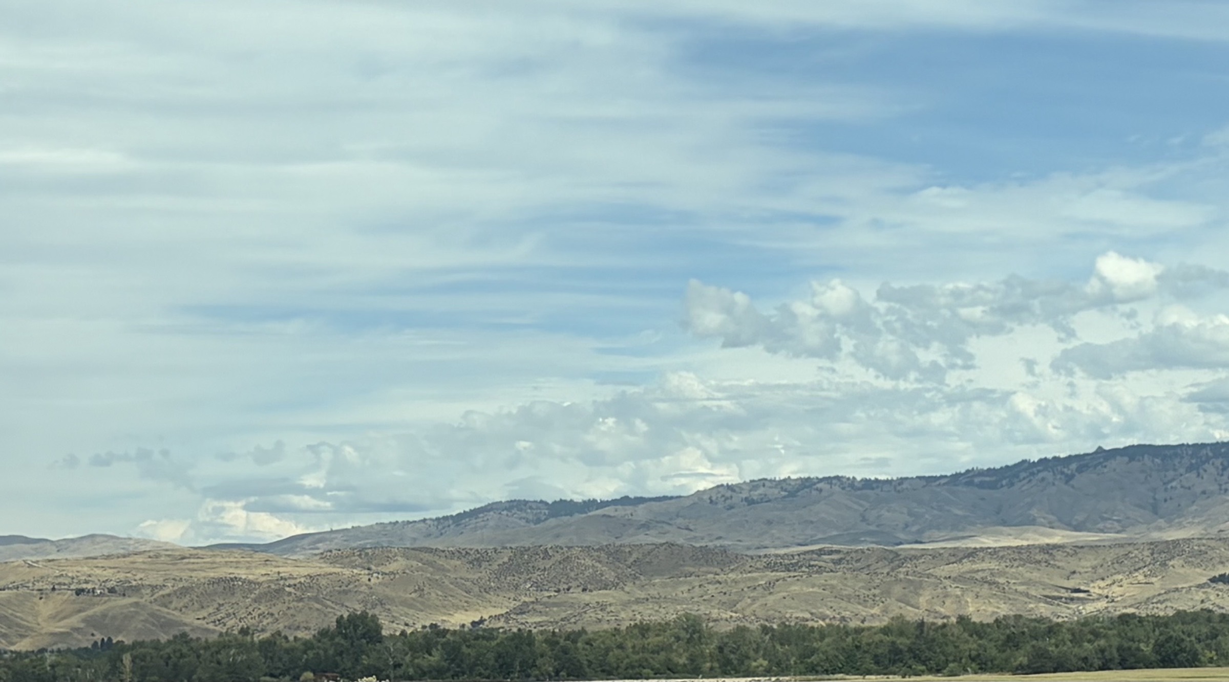 Dry foothills above the Treasure Valley, seen across open farmland and a line of cottonwoods from the West Bench