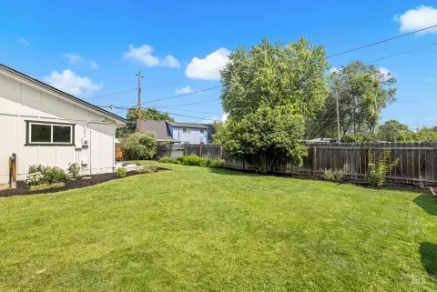 Back garden
