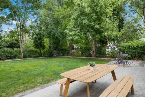 Back garden and patio